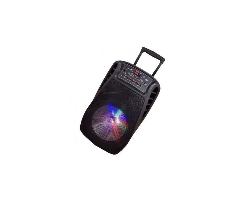 AILIPU Rechargeable Speaker with Wireless Microphone & Bluetooth