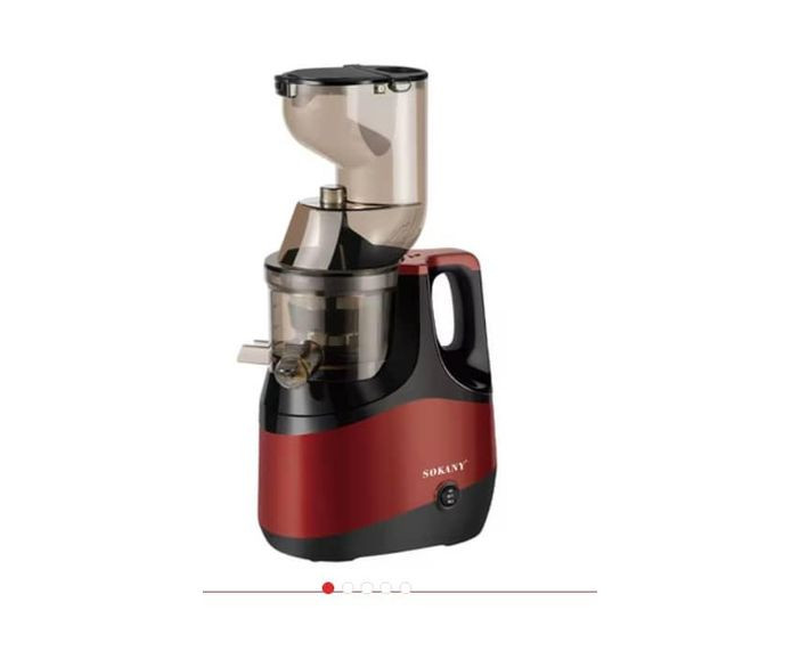 High Efficient Fruit Extractor Slow Juicer For Retaining Nutrients In Juices-Multicolour