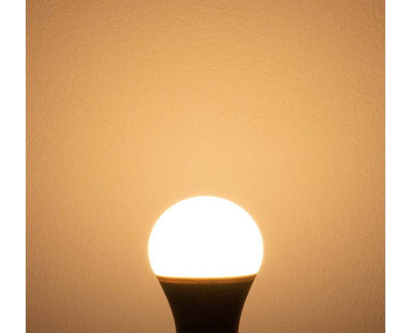 Bulb LED Tronic 13W E27 LE 1327-WW
